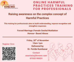 copy of harmful practices training nov 2025 (2)